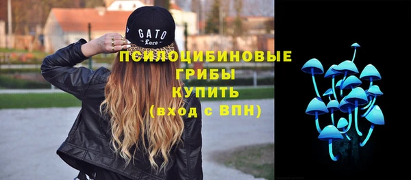 ALPHA PVP Богородицк