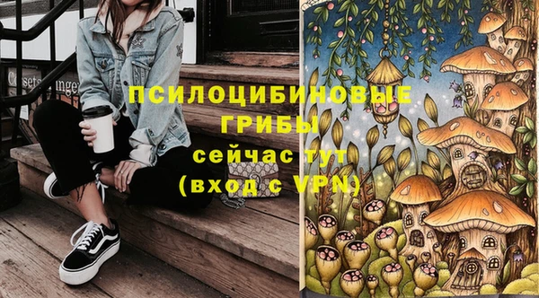 спайс Бородино