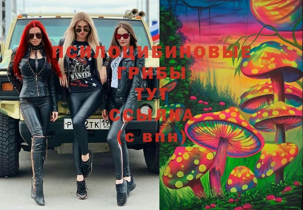 спайс Бородино