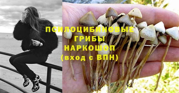 спайс Бородино